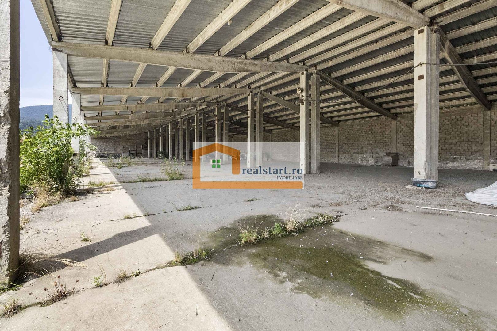 Spatiu Industrial, D 155ml la DJ112A, Acces E68, teren 1,7Ha, - Poză 17