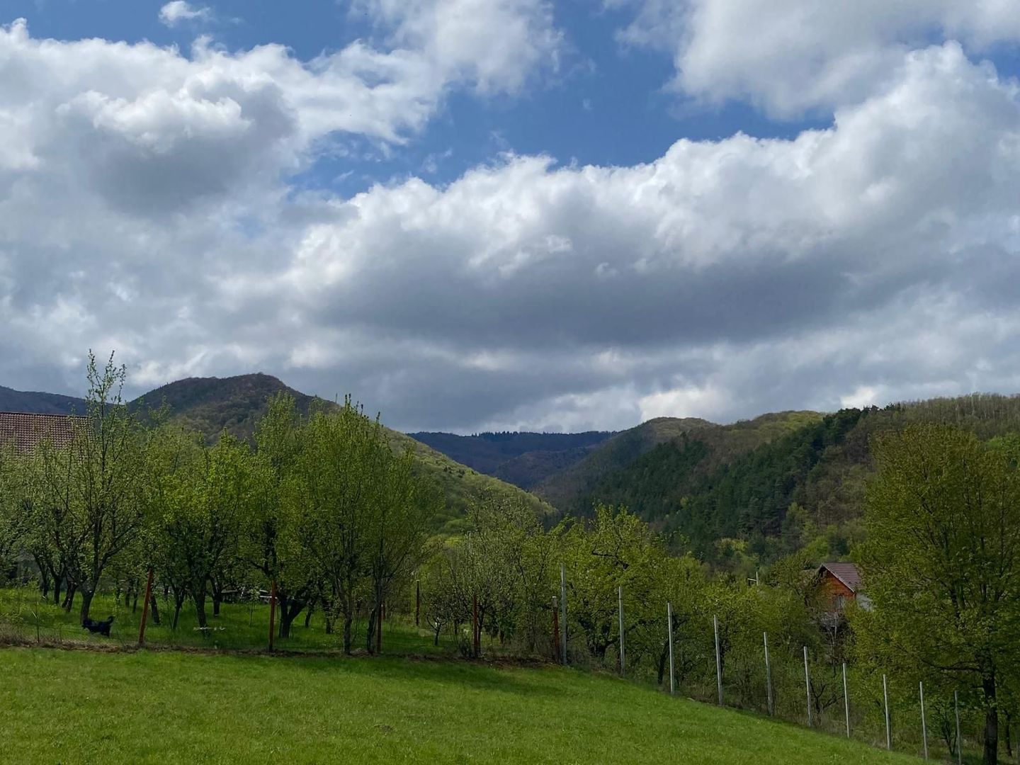 Parcela de teren intravilan cu un view superb-Tocile-Sibiu - Poză 5