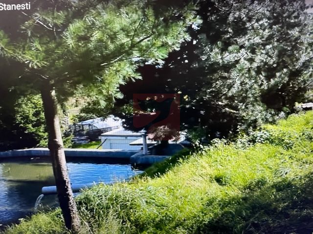 O proprietate de exceptie la Corbi, 18 ha, izvor, lac, pastravarie - Poză 12