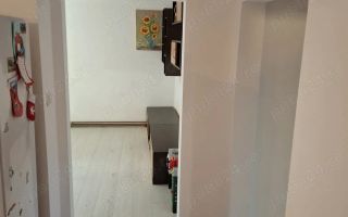 Apartament 3 camere  Dambovita parter - Poză 7