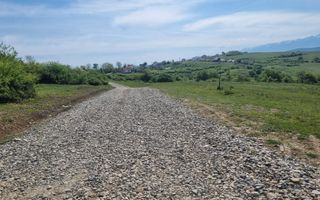 TEREN  EXTRAVILAN 2000 MP ÎN DAIA - BAVARIA | DEALUL 2 | DOAR 15€/MP - Poză 34