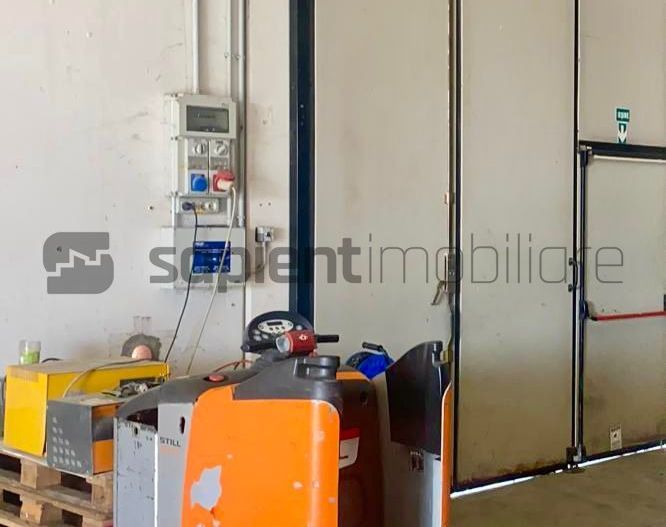 Sapient | Hală situata în com. Borș - Poză 16