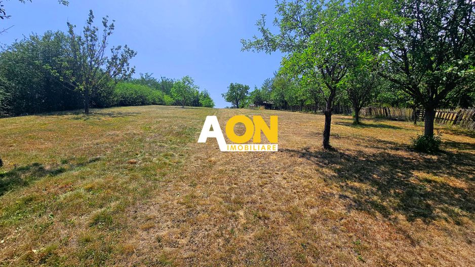 Casa tip cabana de vacanta, 5 camere, 2300 mp teren, zona Schit - Poză 4