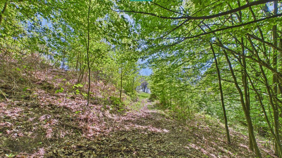 Proprietate rară cu 24.270 mp, în Măgulicea, Arad! - Poză 31