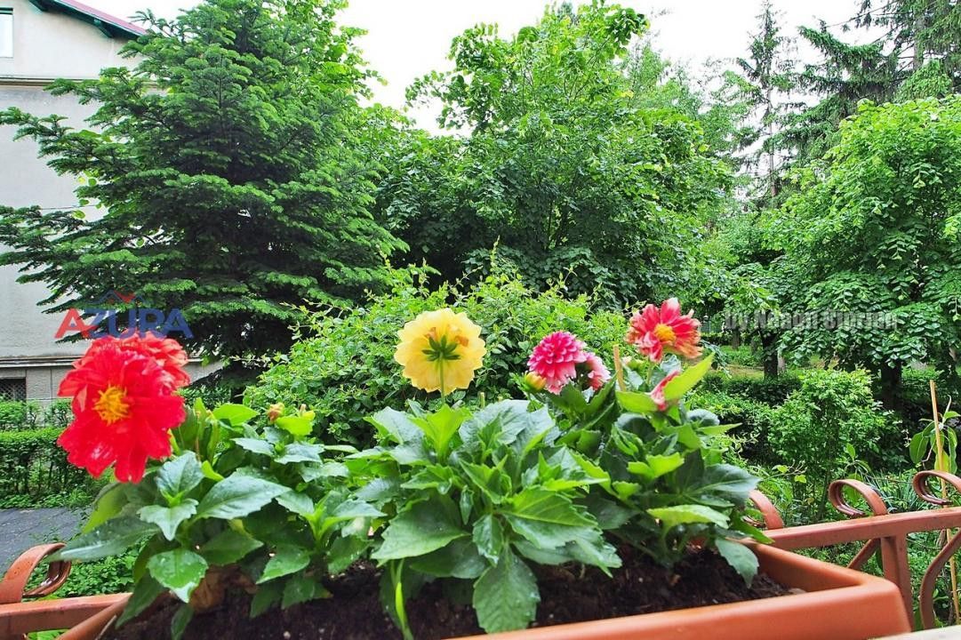 Apartament 3 camere zona Traian - Poză 22