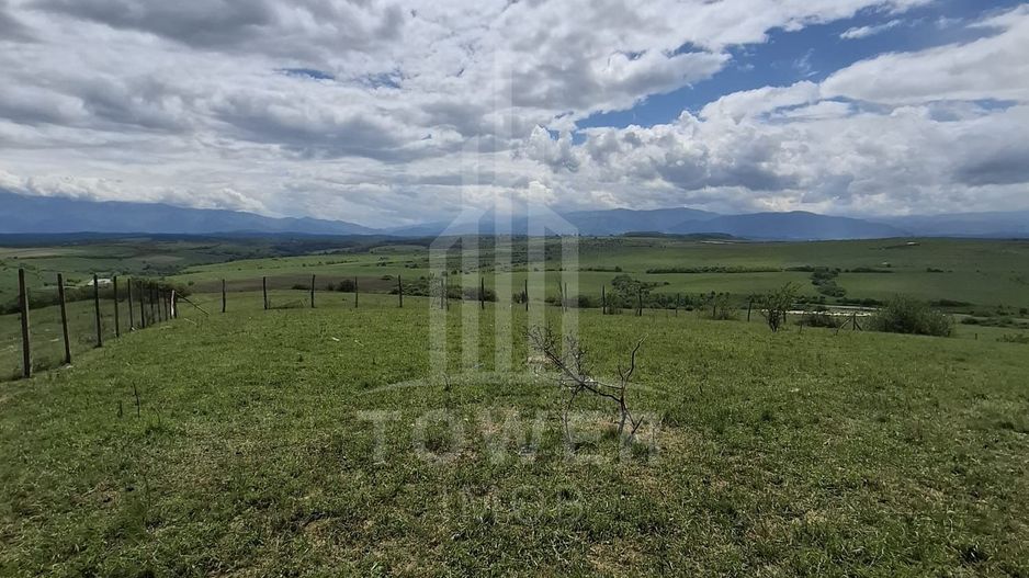 De vanzare, teren 11.500 mp – Dealul Dăii,  Vedere panoramică spre munți și lac - Poză 4