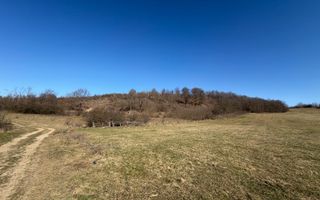 Teren EXTRAVILAN de vânzare în Săcel - Poză 3