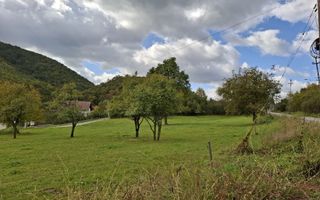 Teren intravilan cu Puz si priveliște deosebită, spre Cetatea Cisnădioara - Poză 4