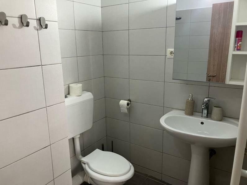 Apartament Parcul Circului/Teiul Doamnei - Poză 8