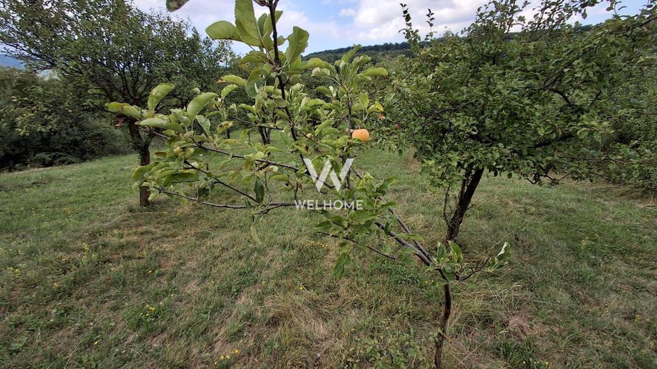 De vânzare teren extravilan în Sibiel, jud. Sibiu – 3223 mp - Poză 2