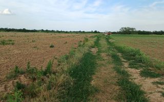 Teren intravilan de vanzare | Peris | 10.000 mp | Investitie sigura - Poză 6