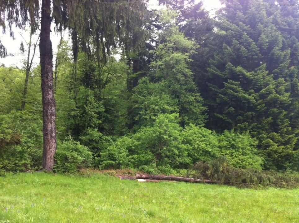 Teren intravilan Cotul Donului,pretabil Hotel/pensiune. - Poză 8