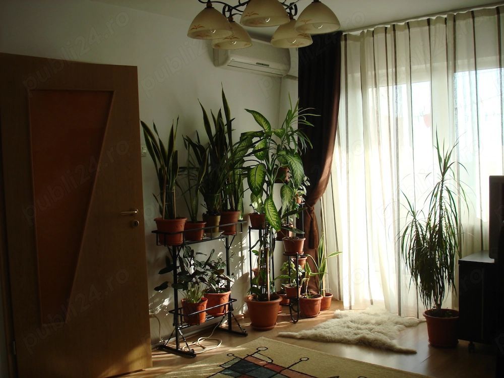 Închiriere 🏡 Apartament 2 camere, 52 mp, decomandat, lângă McDonald’s Dristor - Poză 3