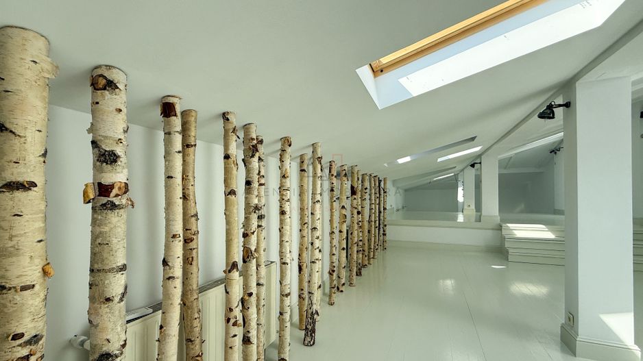 Vilă interbelică pentru birouri sau rezidență – Victoriei - Poză 8