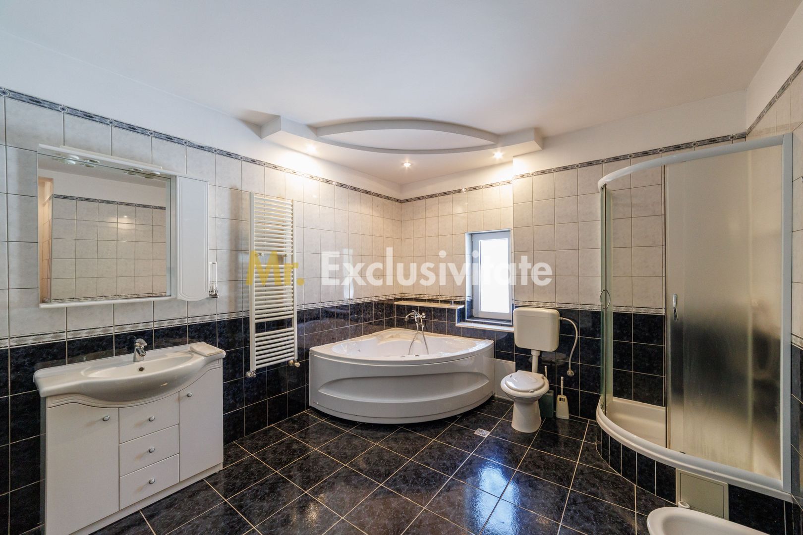 Proprietate multifunctionala | Doua cladiri | 581 mp | Pitesti - Poză 16