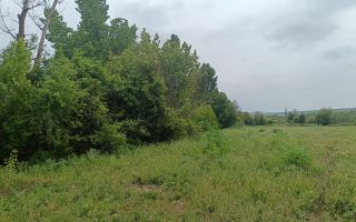 Teren pentru construcție (1.092 ha) în com. Ghidighici mun. Chișinău - Poză 7