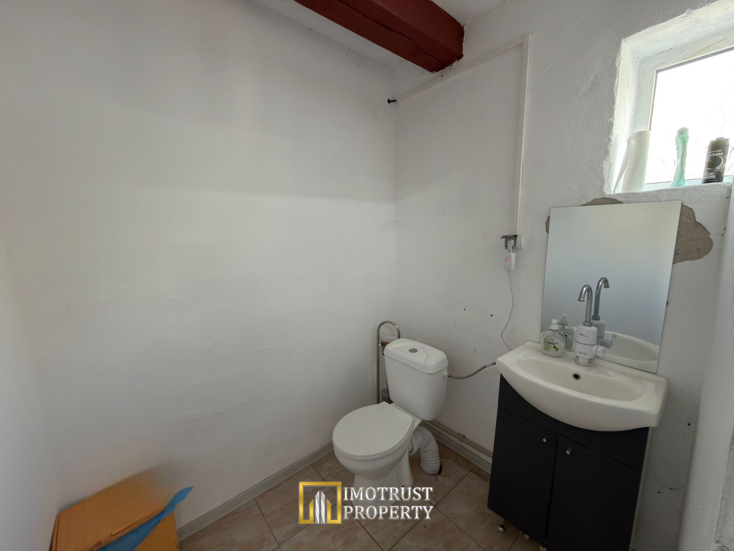 Hala + teren de închiriat pentru service auto / dezmembrări / depozit - Poză 8