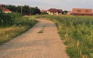 Teren de vanzare | Ciofliceni | Utilitati - Poză 3