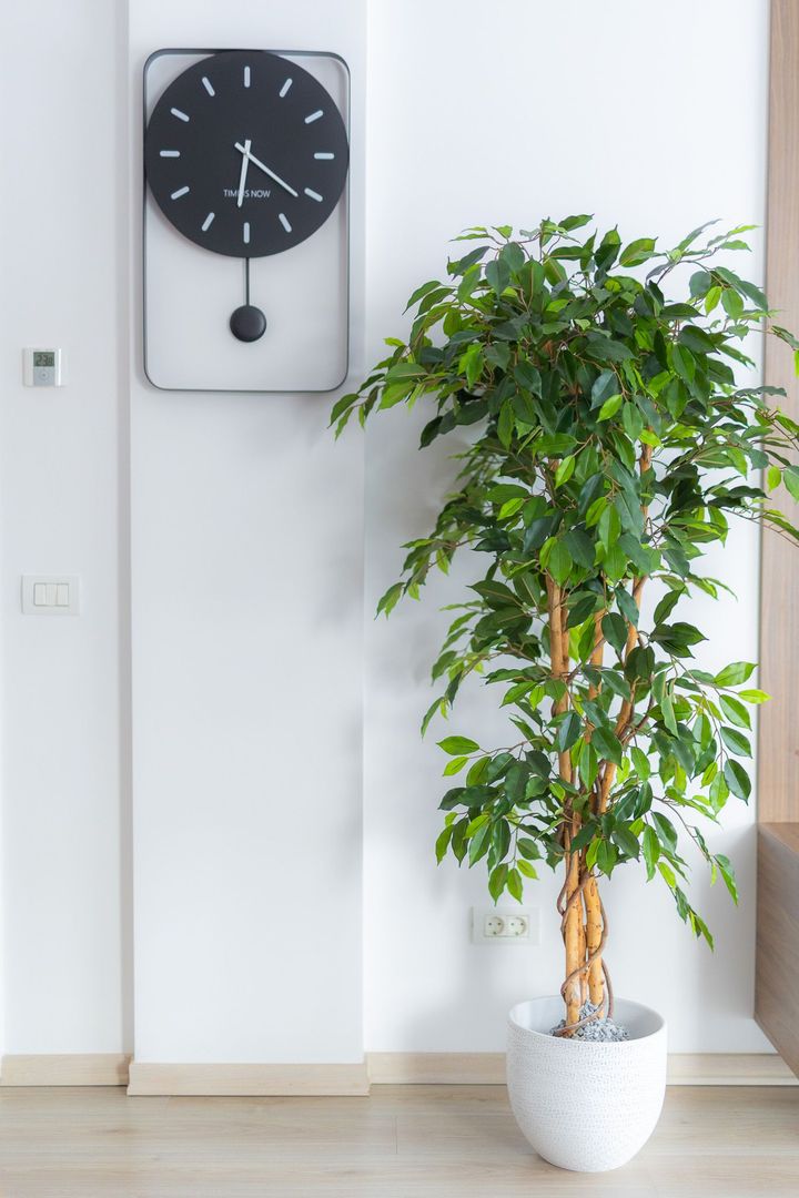 Apartament 3 camere, ultracentral, Oradea. 250 000 E + TVA. Comision 0 - Poză 16