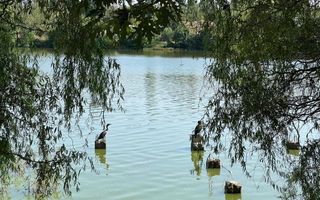 Inchiriere apartament 3 camere 119 mp, complex Laguna Residence - Poză 10