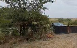 Livadă pe rod de 1570 mp, cu acces facil, în Muntenii de Jos, județul Vaslui - Poză 4