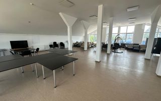 Spatii de inchiriat, 30-100mp, Zona Libertatii - Poză 2