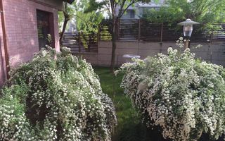 VILLA INDIVIDUALA - PIPERA - 1200mp - Poză 4