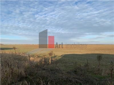 Vanzare Teren Sinesti - Ialomita - Poză 4