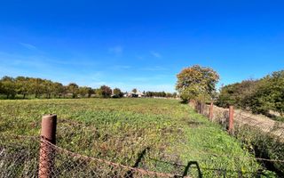 Vând proprietate deosebită, 8 km de Satu Mare – Apateu - Poză 6