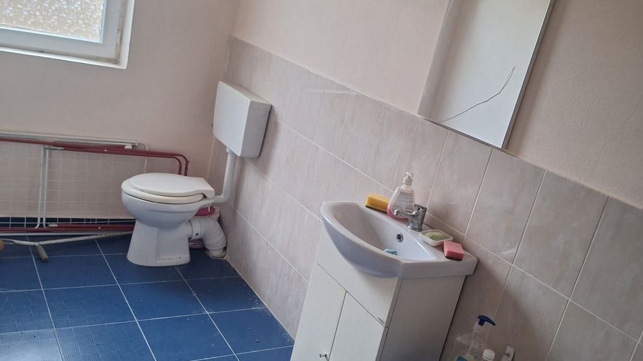 Casa de vânzare in Craciunel la strada principală - Poză 8
