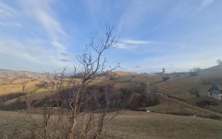 Oaza de liniste si frumusete, reconectare cu natura, 16.000 mp, Poiana Marului - Poză 11