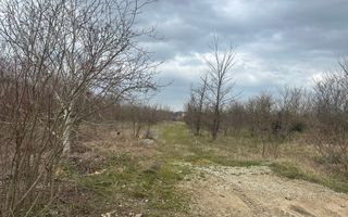 Teren intravilan cu PUZ aprobat 33.683 mp – Săftica/Balotești – deschidere DN1 - Poză 21