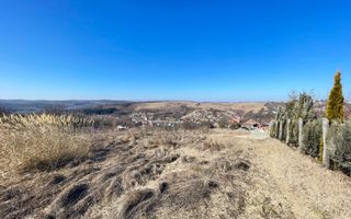 Teren cu potential de investitie 2430 mp si drum de acces - Poză 2