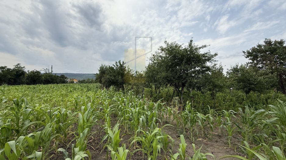 Casa batraneasca, 22 km de Iasi, 5546 mp teren, Osoi - Comarna - Poză 2