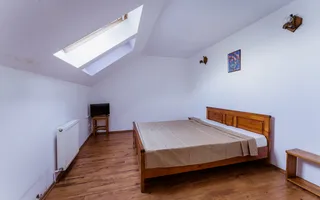 Domeniu în satul Căprioara - Poză 68