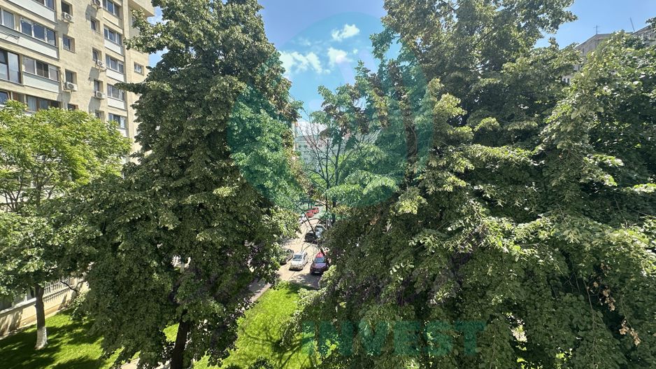 ACASA - unde infloresc teii - Poză 13