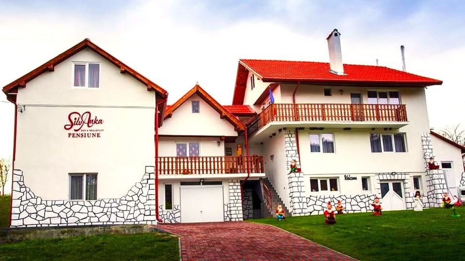 AFACERE DE VANZARE| Pensiunea SILVANKA din Valcele 3* | Langa BRASOV - Poză 3