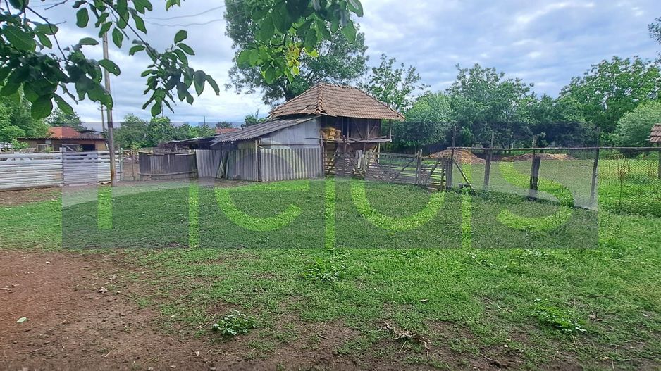 VANZARE CASA | TEREN 2.500 MP | LIVADA SI GRADINA | COMUNA BEUCA, TELEORMAN - Poză 8