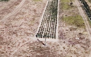 Oportunitate Investitie Teren Intravilan de vanzare - Carcea - Poză 2