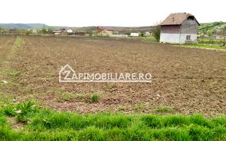 Teren 5800 mp,150m de Aeroport deschidere 58m la E60,20 euro - Poză 7