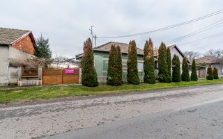 Casă în Dorobanți cu livadă + curte 2500 mp - Poză 2