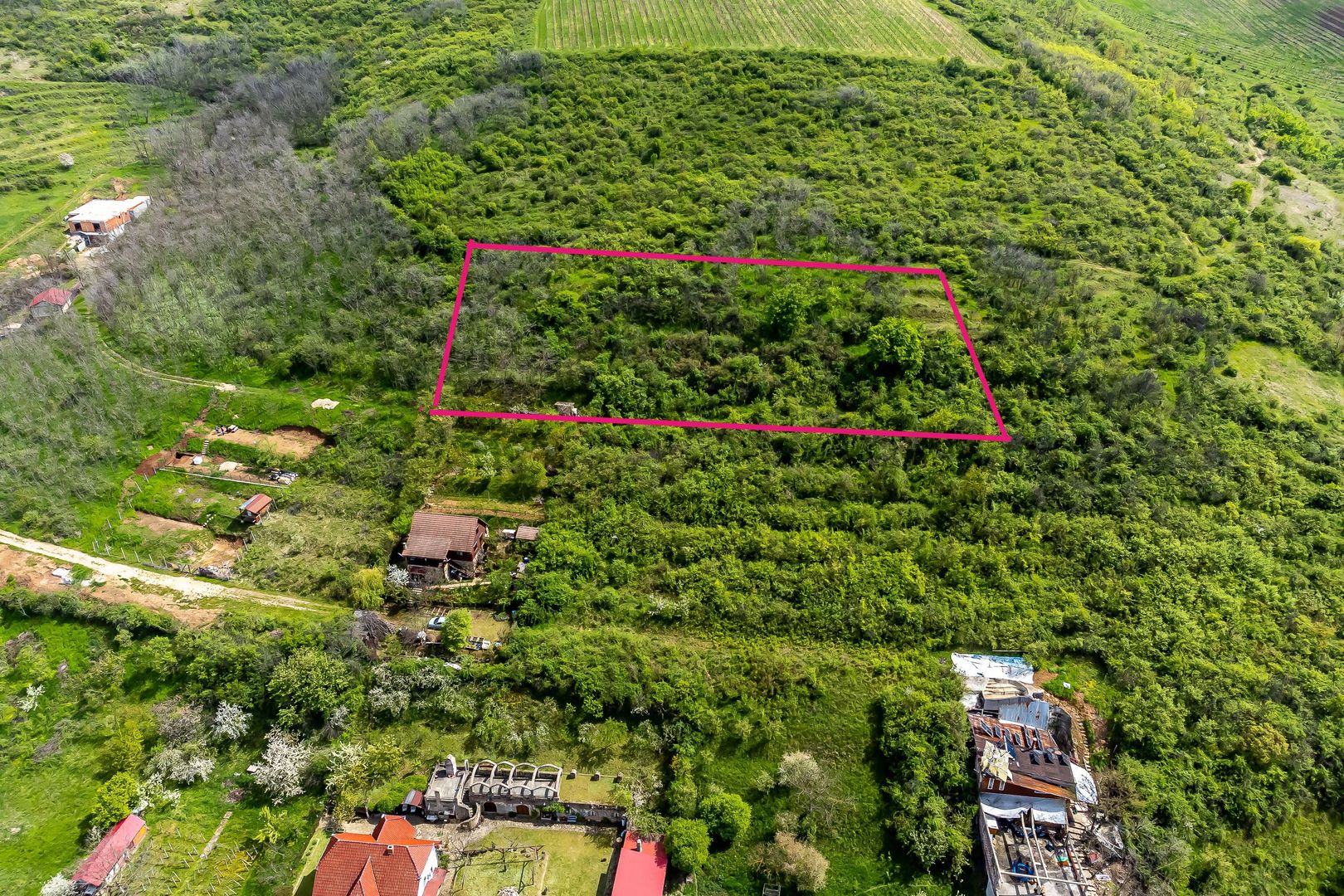 4.300 mp teren pe deal împădurit la Miniș - Poză 1