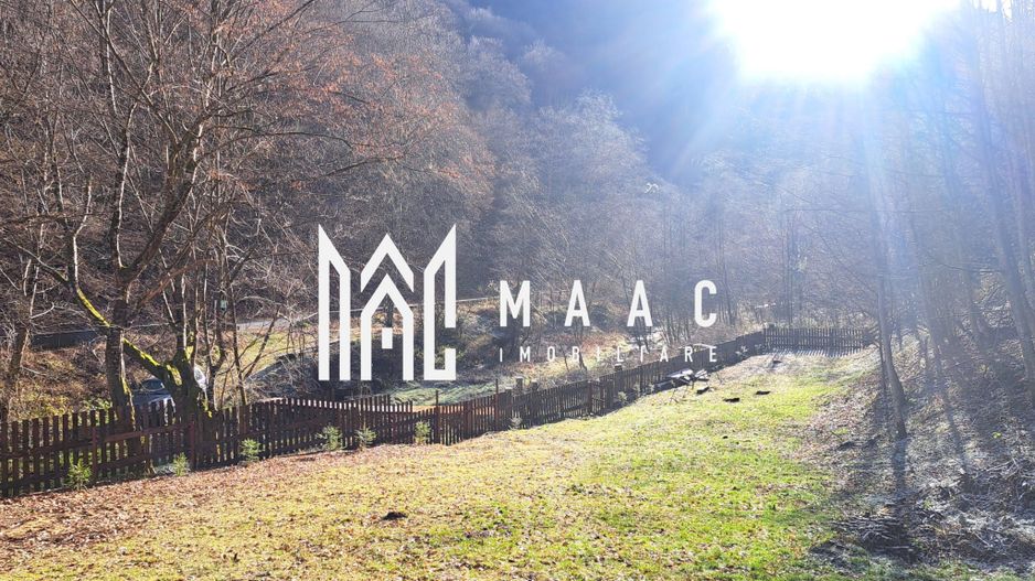 Paradis pe Transalpina in Sugag - Poză 24