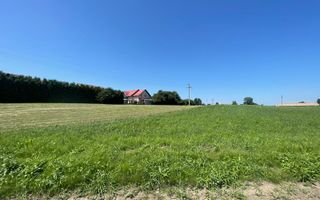 Teren Intravilan 2.462 mp – Ideal pentru Construcție sau Investiție - Poză 3