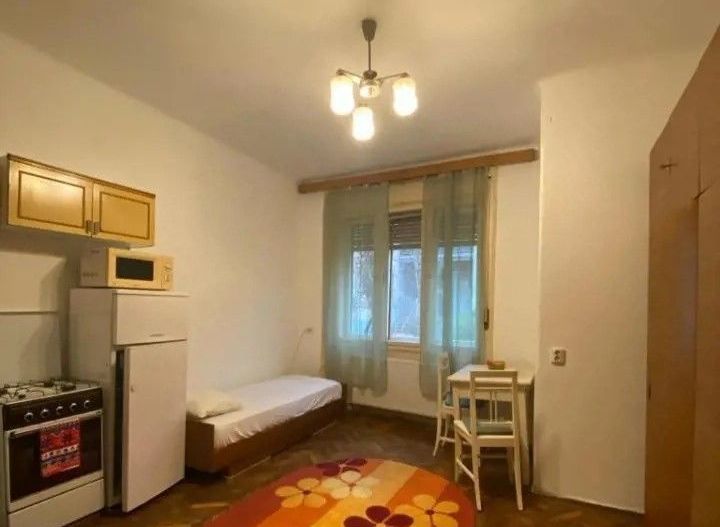 Apart 1 cam Balcescu parter centrala proprie - Poză 1