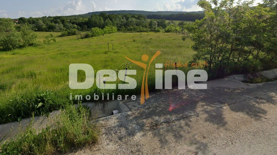 Teren intravilan 8000mp, Comuna Bârnova Iași - Poză 1