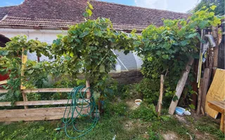 Casa saseasca, de vanzare la Richis - Transilvania - Poză 25
