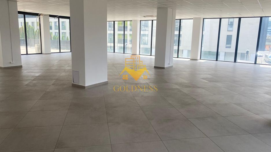 Spatiu comercial, Cartier Dambul Rotund, Lombului, Corneliu Coposu. - Poză 4