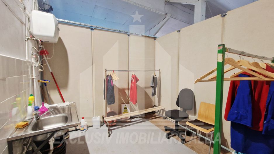 Spatiu industrial de inchiriat in Sebes - Poză 8