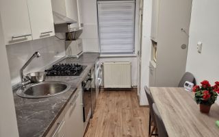 Apartament 3 camere | parter | zona Terezian - Poză 19